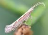 302790 – Photo : Jean-Michel GAREL – France (89)